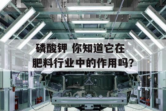  磷酸钾 你知道它在肥料行业中的作用吗？