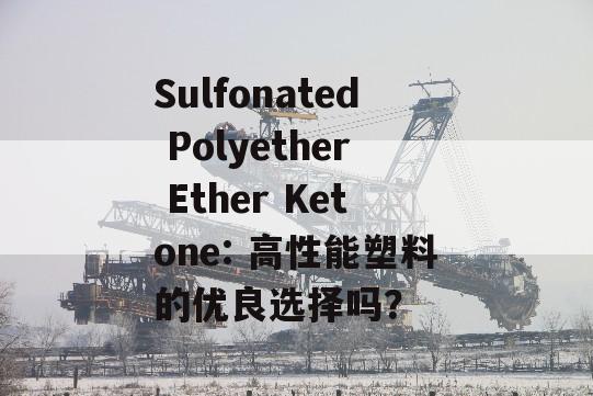 Sulfonated Polyether Ether Ketone: 高性能塑料的优良选择吗？